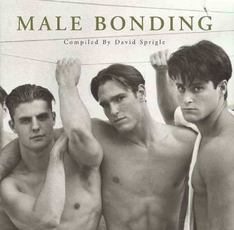 Book cover : Male Bonding