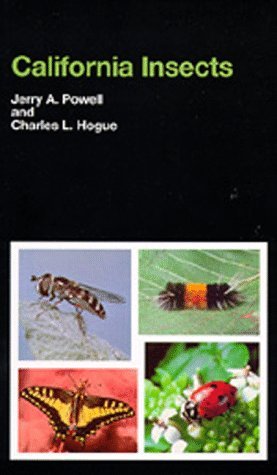 Book cover : California Insects (California Natural History Guides)
