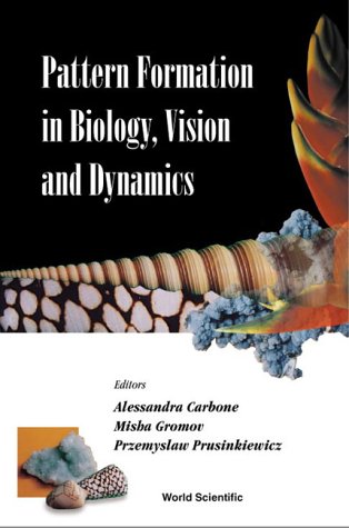 Book cover : Pattern Formation in Biology, Vision and Dynamics