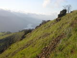 cedarmt97a.jpg